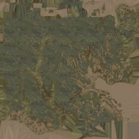 Asset preview